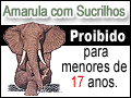 Amarula com Sucrilhos